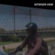 Perforated  Window Adhesive